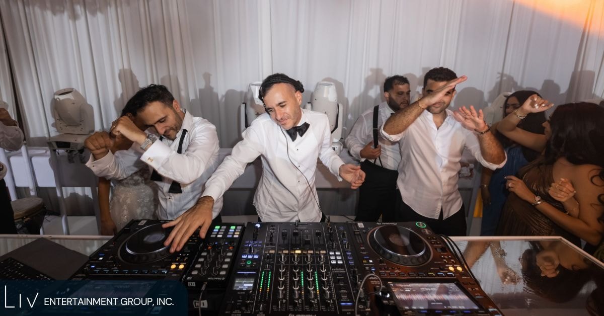 DJ for a Wedding Reception (photo 2)