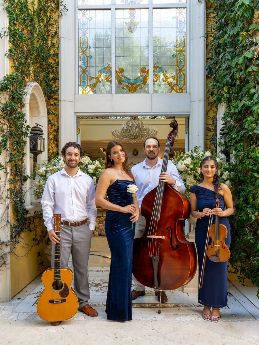 The Blue Velvet quartet with guitar, double bass and violin