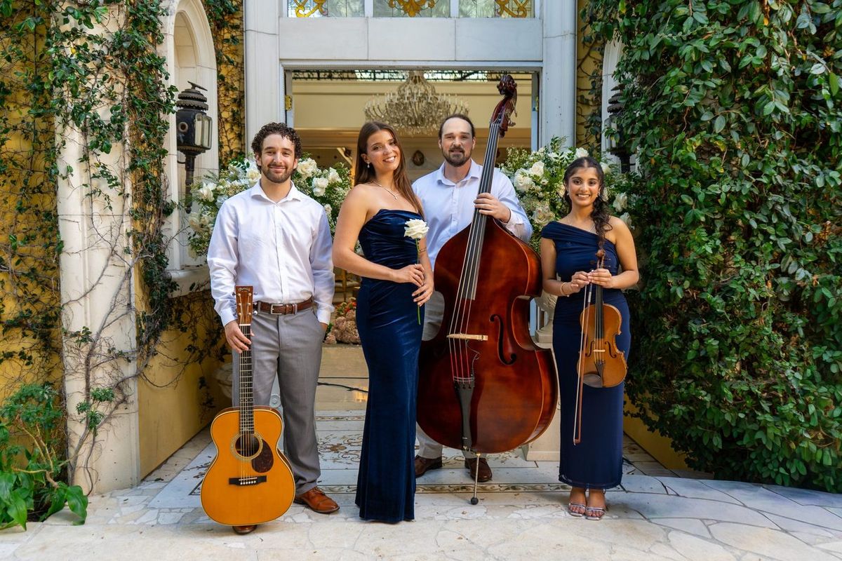 The Blue Velvet quartet with guitar, double bass and violin