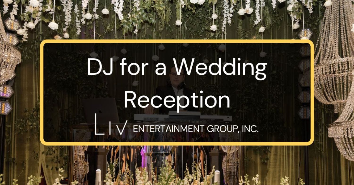 DJ for a Wedding Reception